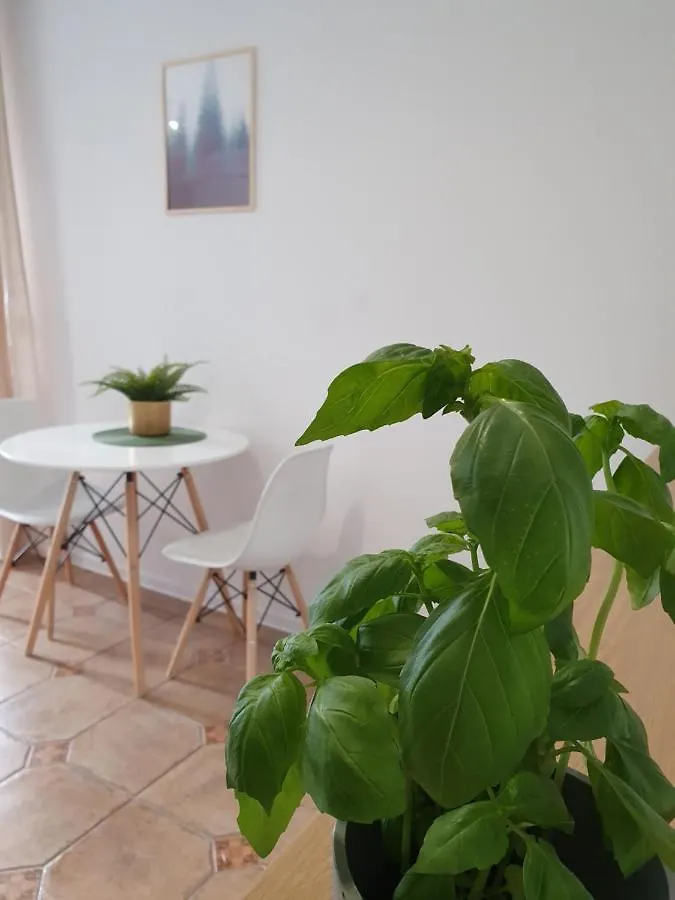 Apartment Studio Zubrowa - Gdansk